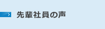 先輩社員の声